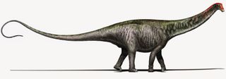 This illustration reveals Brontosaurus as researchers see it today, with a Diplodocus-like head.