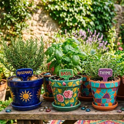 Colorful containers of herbs with clay name tags in each one
