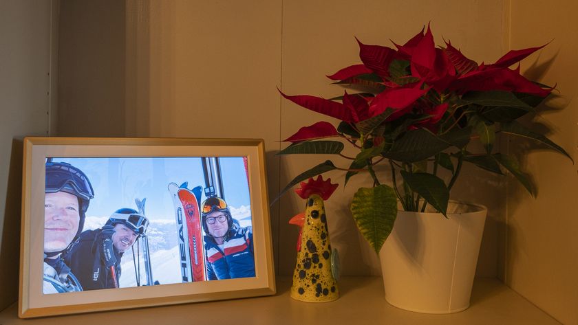 Arzopa D14 photo frame on a shelf next to a plant