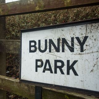 black and white bunny park board with wooden fence