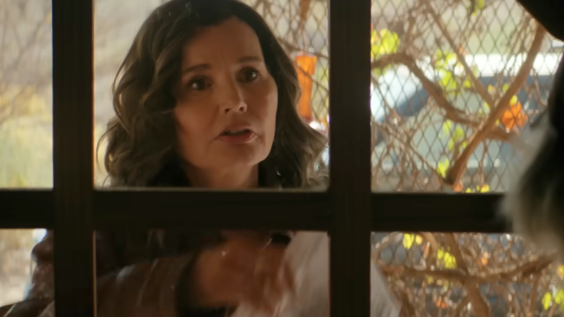 The Boroughs on Netflix