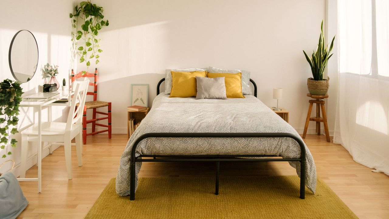 Modern bright bedroom with black metal bedroom white walls wooden chairs and plants