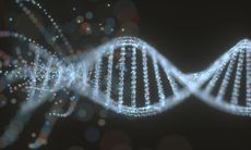 DNA 
