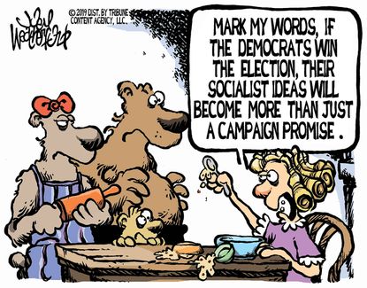 Political Cartoon U.S. Democrats 2020 Win Goldilcoks Socialism