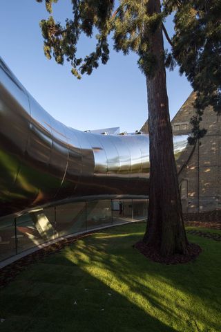 building was designed to curve around a protected mature tree