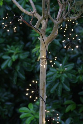 An example of outdoor string lighting ideas showing a slim tree trunk with twinkly string lights