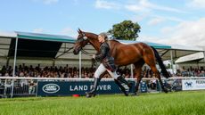 Julia-Norman_CARRYON-BOBBY-BOY_LRBHT_PN19_102938A.jpg