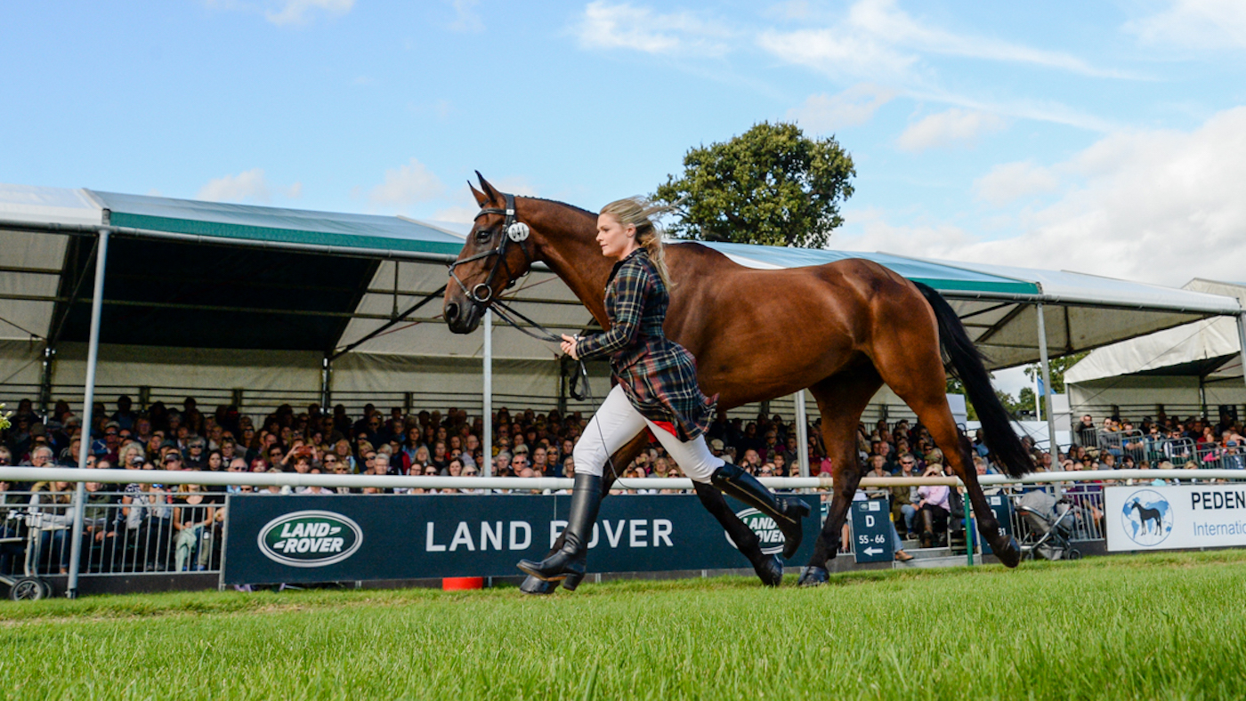 Julia-Norman_CARRYON-BOBBY-BOY_LRBHT_PN19_102938A.jpg