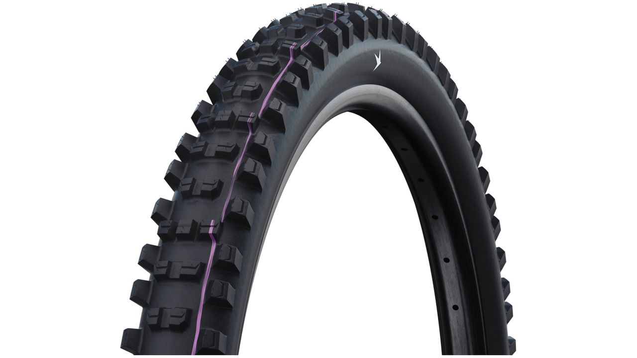 Schwalbe Shredda Rear Radial gravity tire studio shot