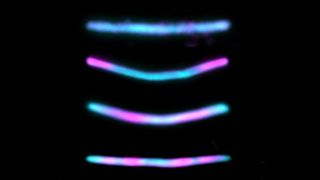 Fluorescent protein chains produced by genetically-altered mouse neurons.