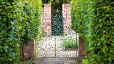 Metal garden gate ideas with straight path