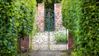 Metal garden gate with straight path leading to gate beyond
