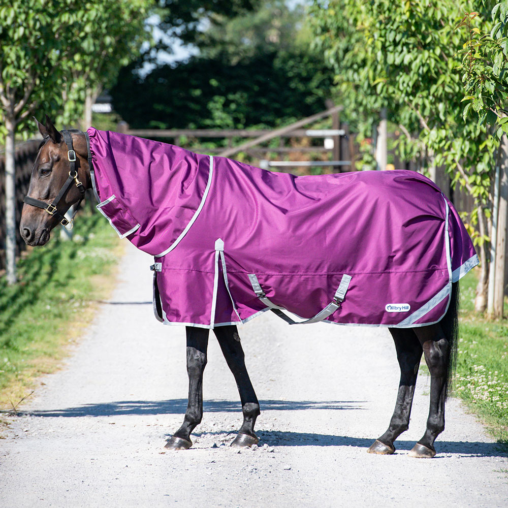 Horse wearing Millbry Hill Elite 0g Detach-A-Neck Turnout Rug in purple