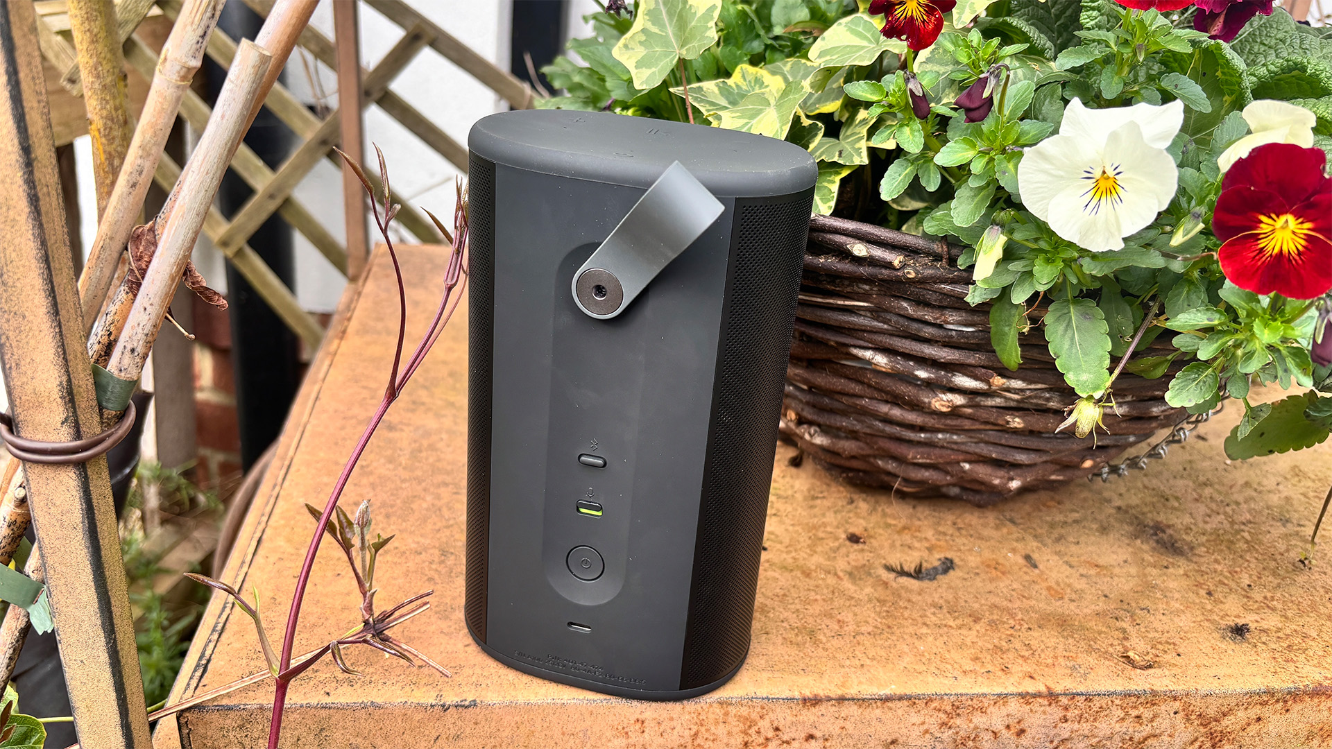 Sonos Play wireless speaker next to basket of flowers, rear of device