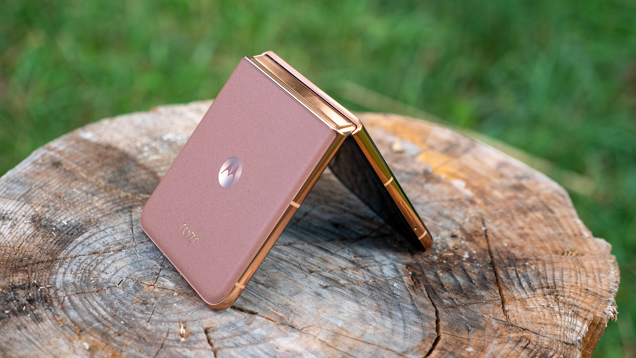 The Mocha Mousse Motorola Razr Plus 2025 tented on a stump