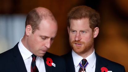 Prince William, Duke of Cambridge and Prince Harry attend an Anzac Day Service of Commemoration and Thanksgiving at Westminster Abbey on April 25, 2018 in London
