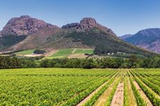 vineyard-mountains-franschhoek-town-south-africa.jpg