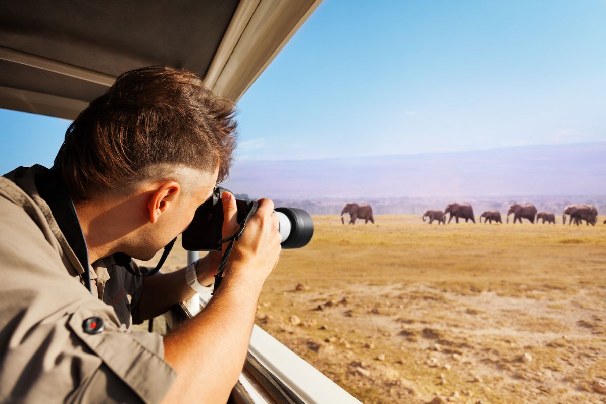 A photographer captures elephants on safari