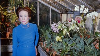 The Duchess of Windsor, Wallis Simpson, at her greenhouse in Bois de Boulogne near Paris, France 1974.