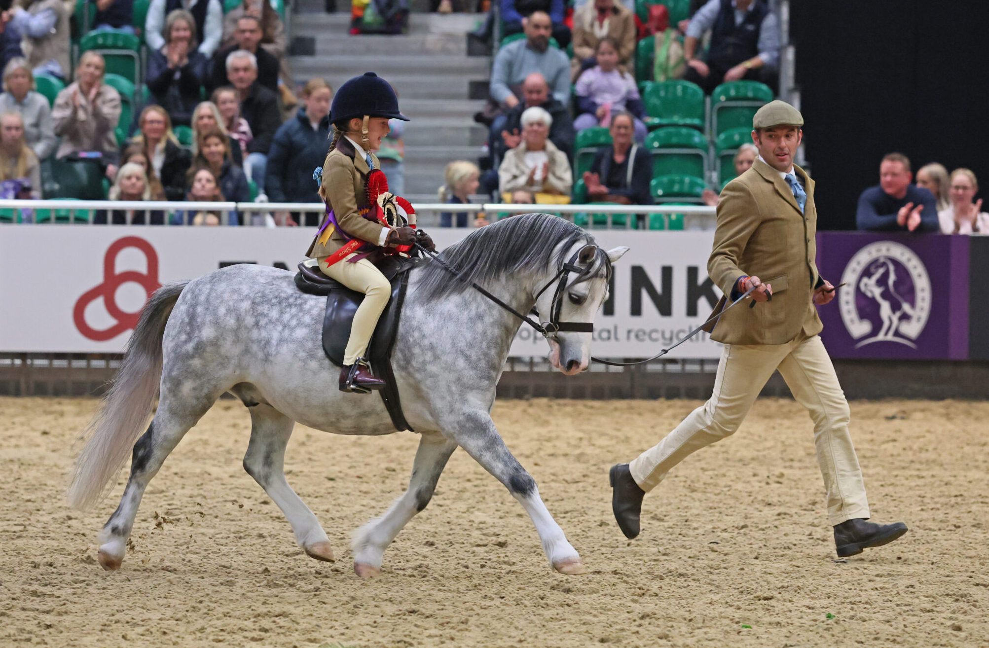Rowfantina Principle Dancer ridden by Isabel Burchell and led by Oliver Burchell are one of 25 M&amp;amp;Ms who won at HOYS 2025