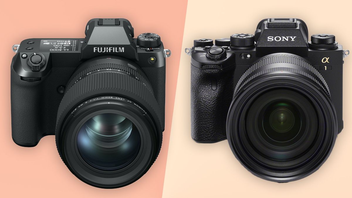 Fujifilm GFX100S Vs Sony A1: Which Is The Best Mirrorless Powerhouse ...