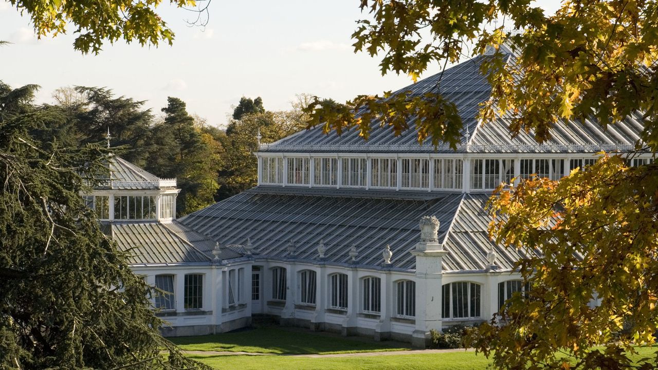 temperate house kew