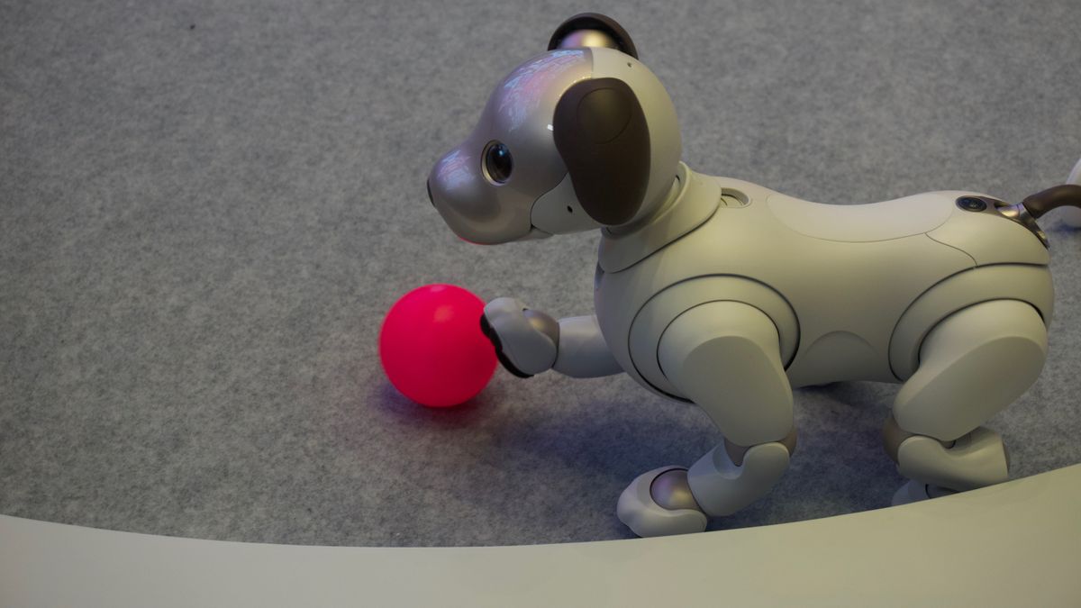 Hands on Sony Aibo review TechRadar