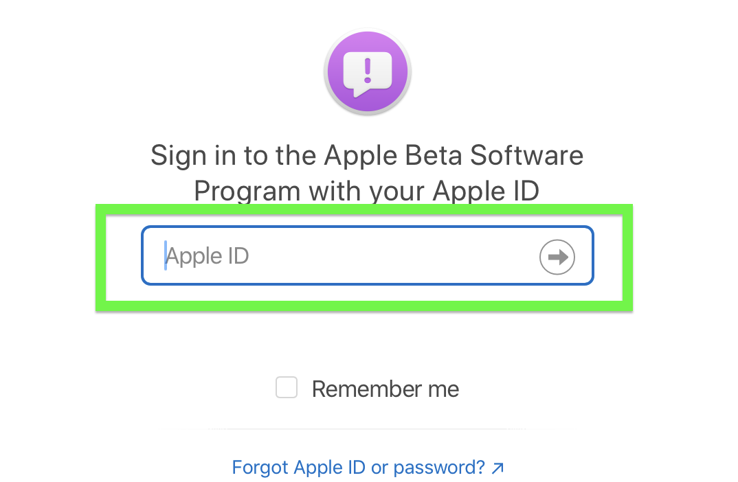 iPadOS 15 public beta step 3: sign in