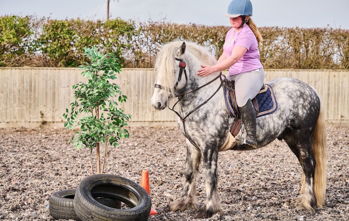 Teaching horse not to spook, desensitisation