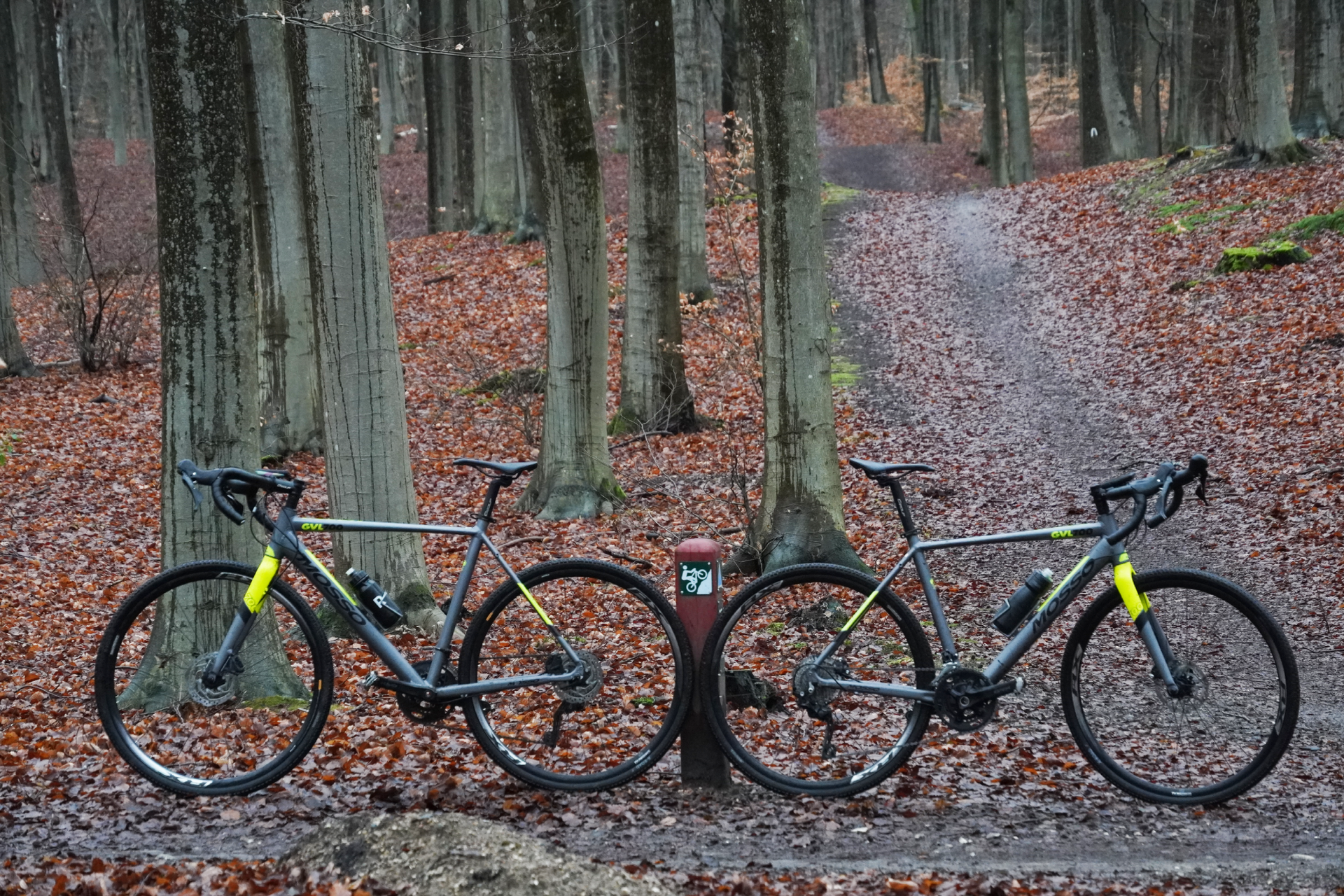 Image shows two gravel bikes on the trails in Denmark