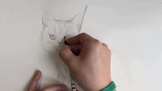 Art techniques: person drawing a cat