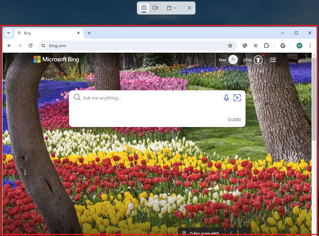 Captura de pantalla de Chrome con la herramienta de recorte