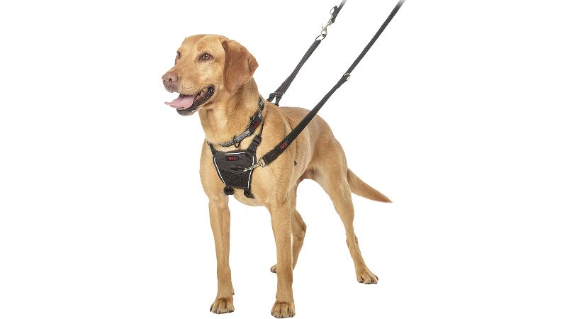 How does a no-pull dog harness work | PetsRadar