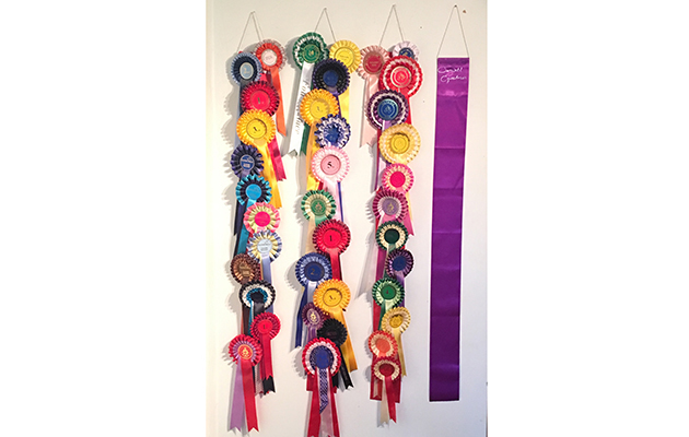 X BEST ROSETTE HOLDERS samequestrian