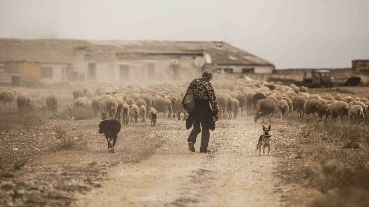 'Go Home' by Viktoriia Moskalenko (Ukraine) won in the Bring Home The Harvest category