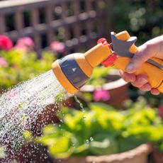 Hand holding yellow nozzle of hosepipe to water plants in a low maintenance garden
