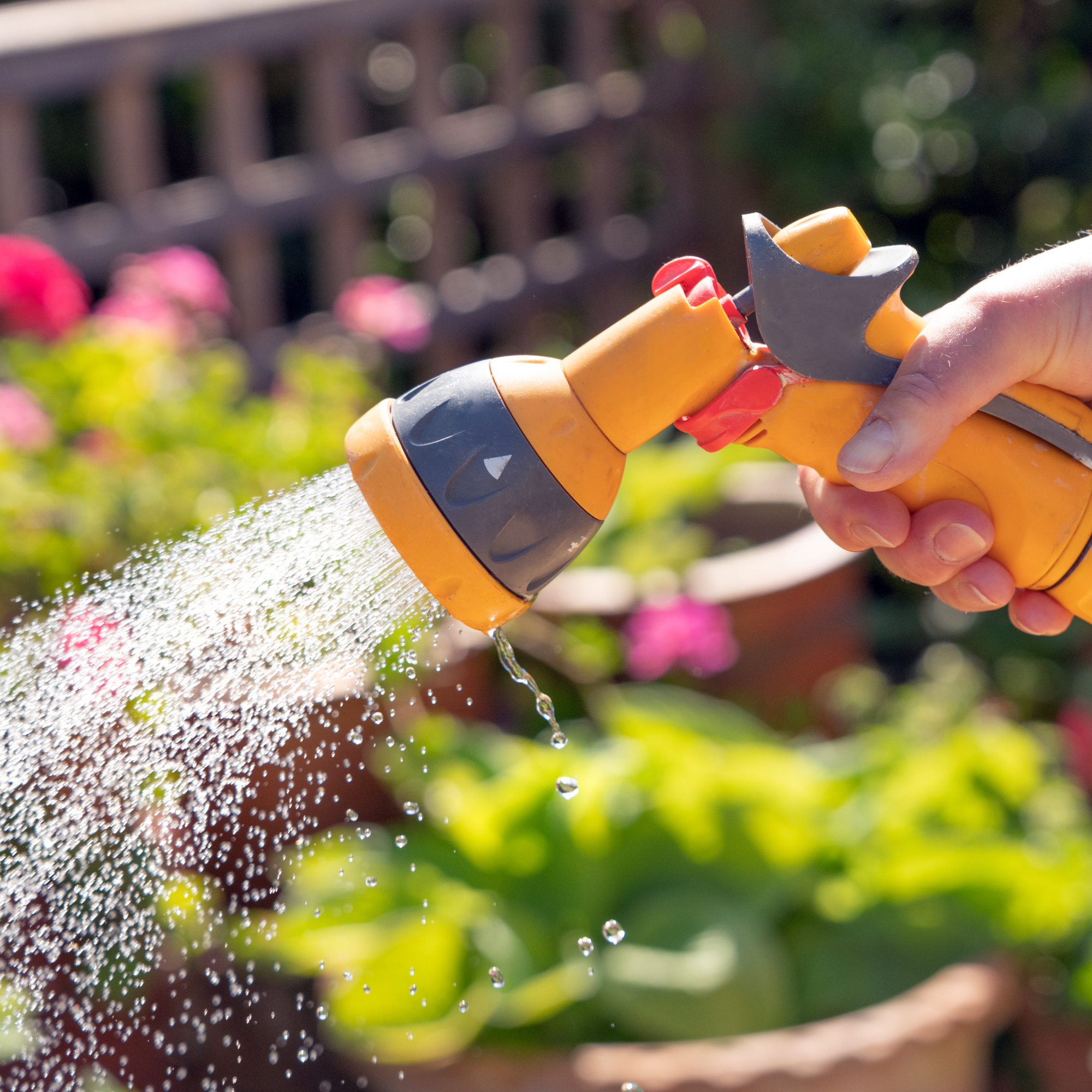 Hand holding yellow nozzle of hosepipe to water plants in a low maintenance garden