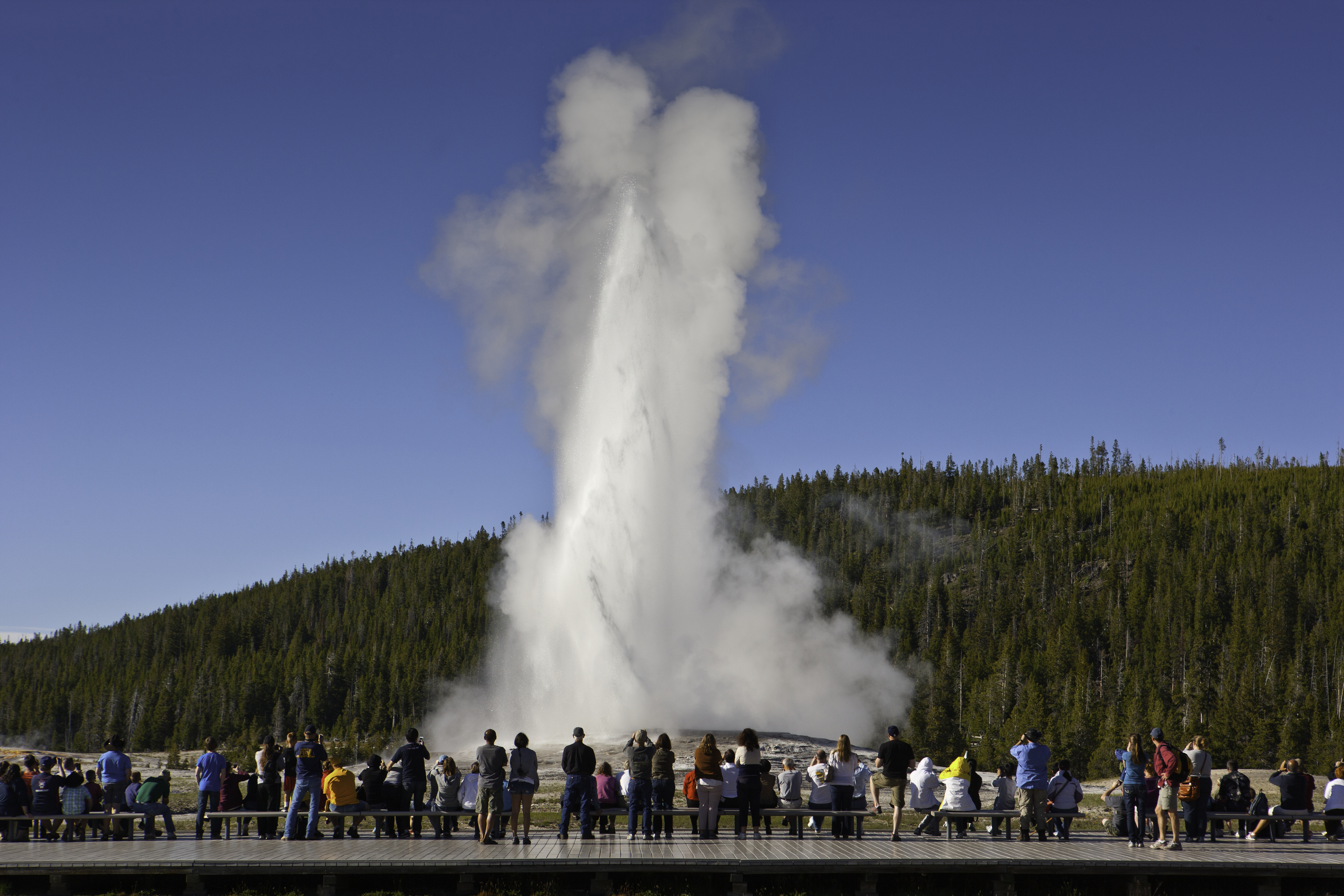 People watch as the Old Faithful geyser erupts at Yellowstone