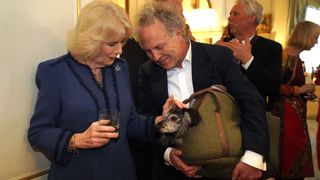 Camilla, Queen Consort (L) meets author Charlie Mackesy and his dog Barney as she hosts a reception at Clarence House for authors, members of the literary community and representatives of literacy charities, to celebrate the second anniversary of The Reading Room on February 23, 2023 in London, England. The Reading Room, which was official launched by the Queen Consort 2 years ago, champions literacy and encourages readers to find new literature.
