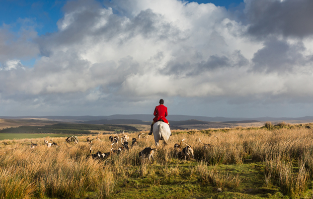 Spooner's &amp;amp; West Dartmoor Foxhounds meet at Walkhampton - 1st January 2018