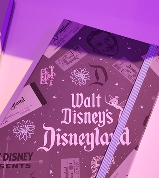 Disneyland journal