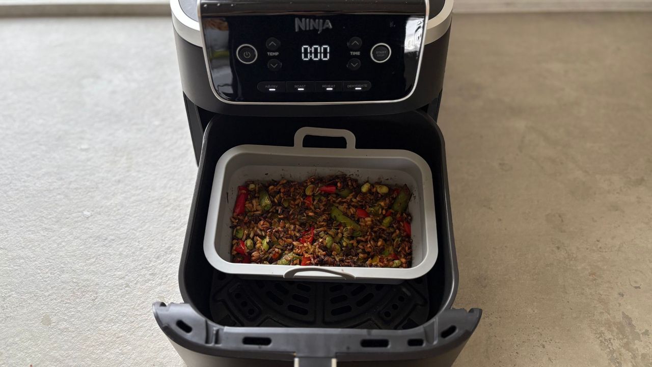 Testing the Ninja Air Fryer Pro in our kitchen