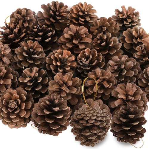24 Pcs Natural Pine Cones, 1.96 in Pinecone Ornaments, Rustic Pine Cones for Crafts, Winter Decorations for Home, Bulk Pines Cone With Gold String for Christmas Table Decor Diy Christmas Ornaments