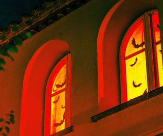 Halloween decoration with homemade paper bats in the bright windows.