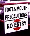 F8263FC9-EA31-4F0C-8A93-B8DDB268B082.jpg