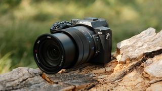 An 8-year-old DSLR is fighting with pro mirrorless, a new bridge camera, and a cheap compact in the strangest mix of camera trends yet