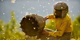 Oscar Nominated Documentary Honeyland