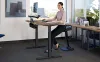 VariDesk Electric Standing Desk