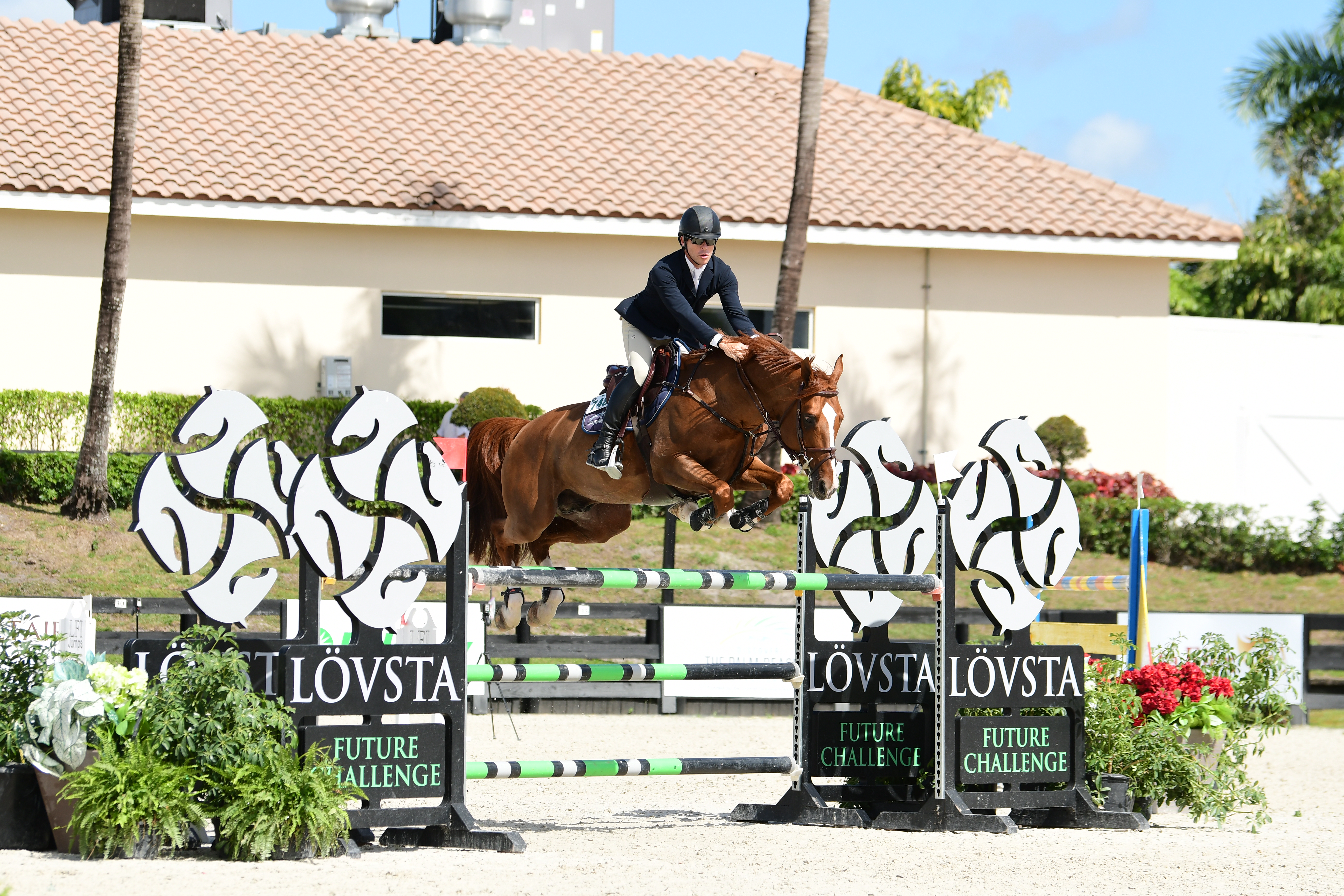 Conor Swail riding Nadal Hero &amp;amp; DB in his debut at the Winter Equestrian Festival