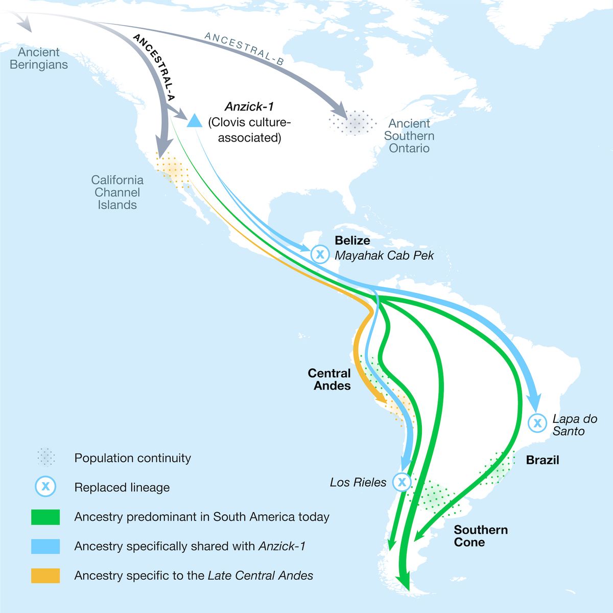 North and South America Migration